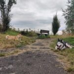 Balade au bois du cazier