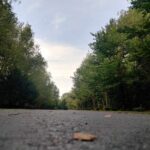 Balade au bois du cazier