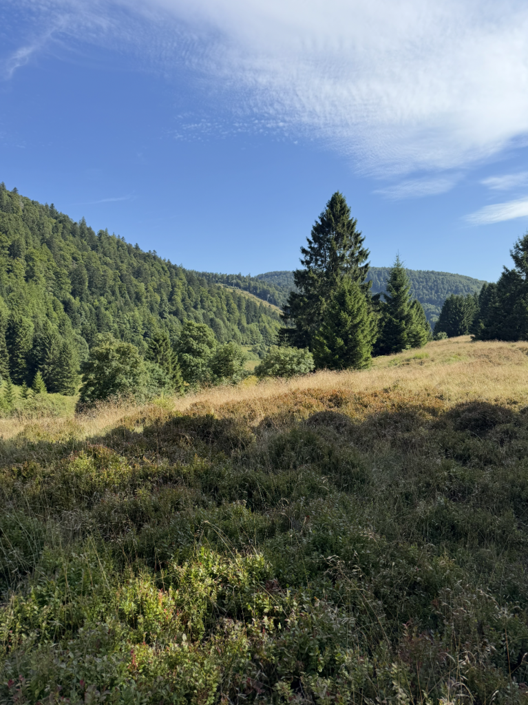 Séjour à la Bresse avec son chien
