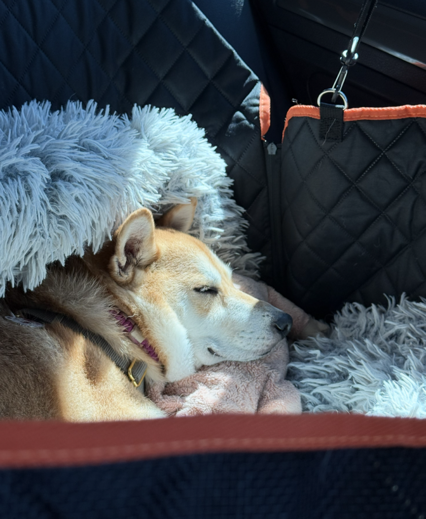 Retour en voiture