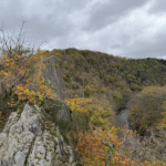 Le hérou : promenade canine