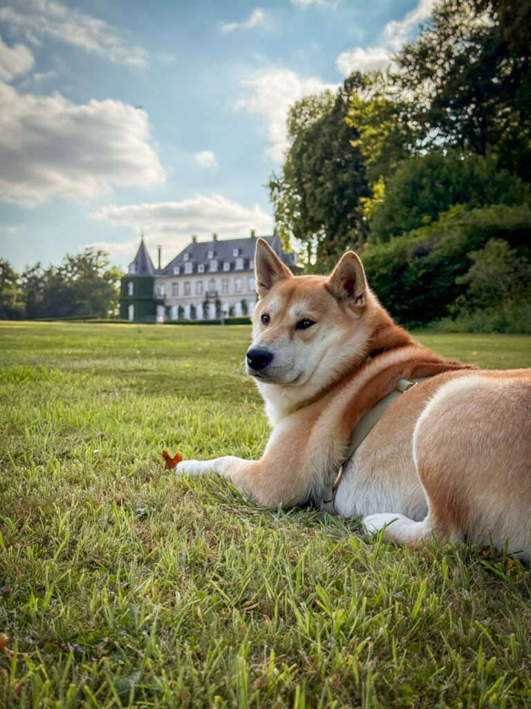 Balade au chateau de la Hulpe