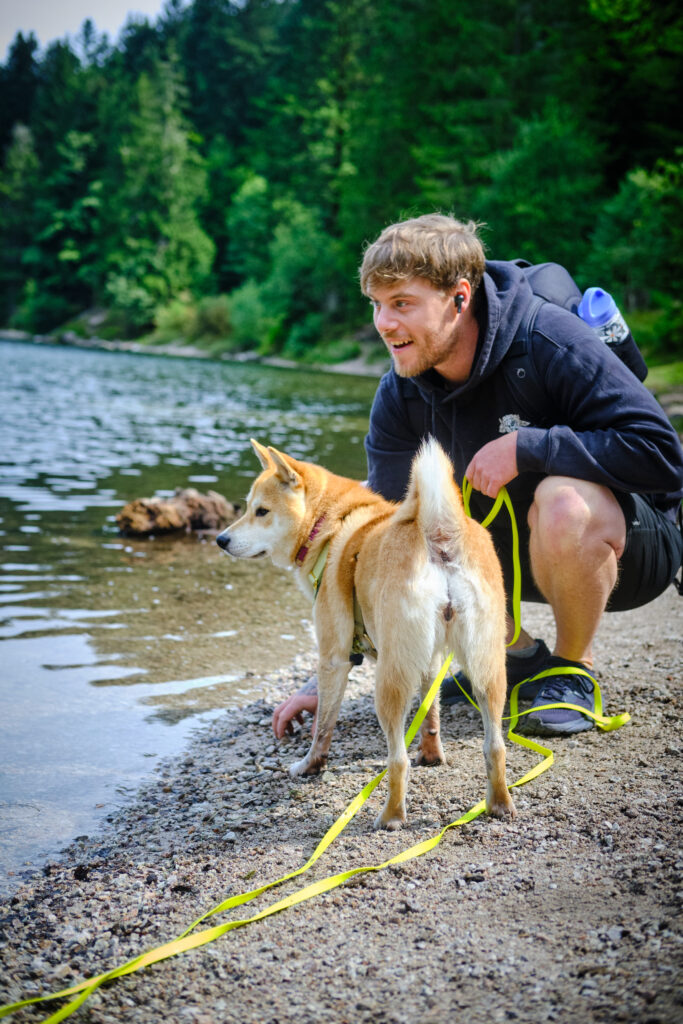 Vosges avec un chien 86