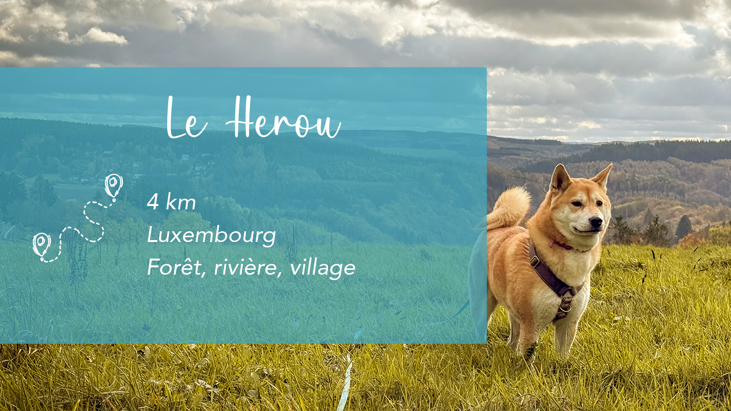 Rocher du Hérou : La Balade en Ardenne Belge qui Fait Piquer les mollets