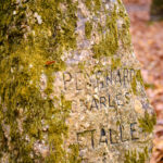 monument forestier soignes