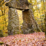 monument forestier soignes