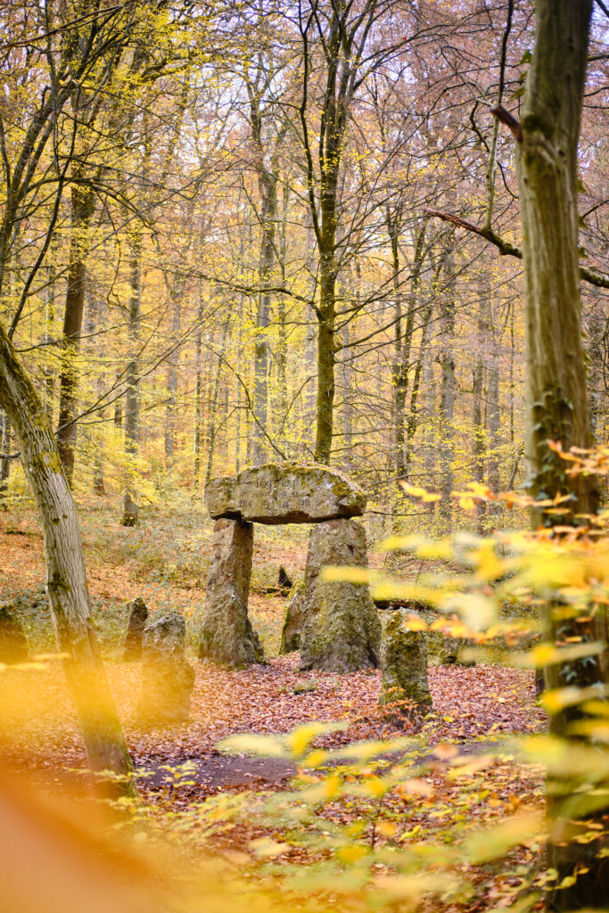 monument forestier soignes